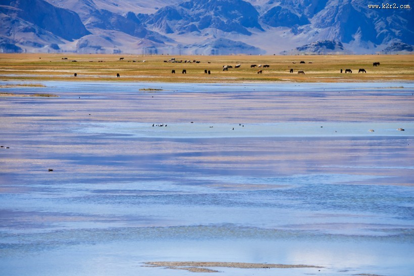 西藏阿里风景图片