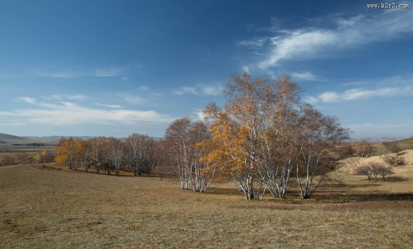 内蒙古乌兰布统秋色图片