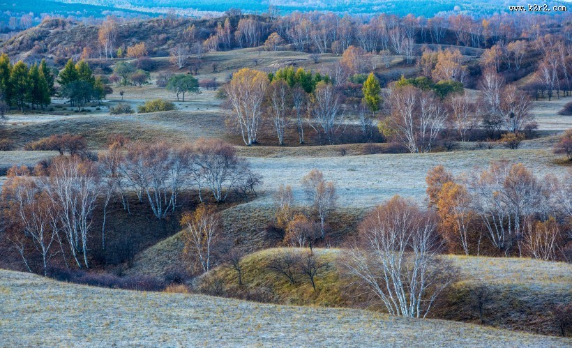 内蒙古乌兰布统秋色图片