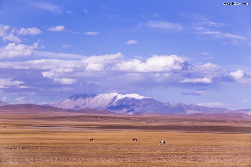 西藏阿里改则风景图片大全
