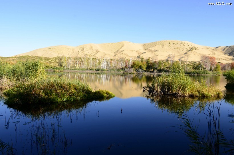 新疆白沙湖风景图片