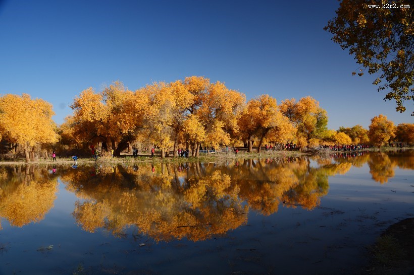 内蒙古额济纳胡杨林风景图片
