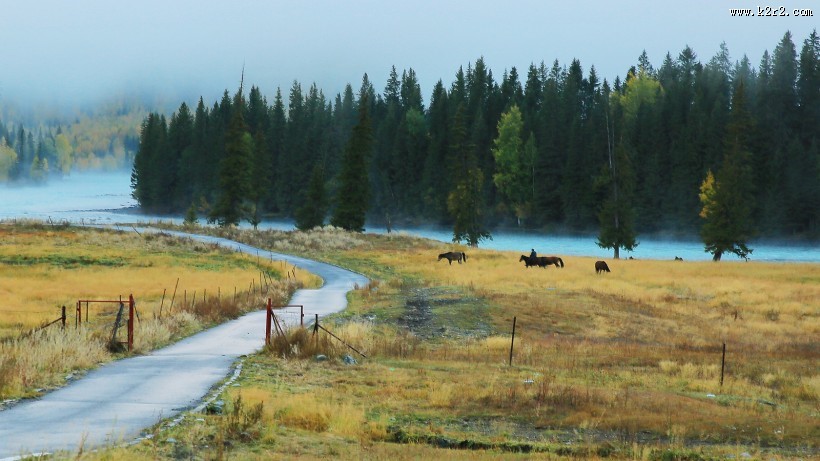 新疆喀纳斯鸭泽湖风景图片大全