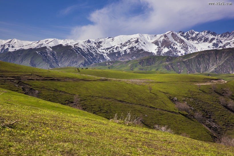新疆大西沟风景图片大全