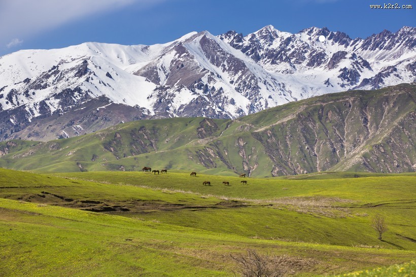 新疆大西沟风景图片