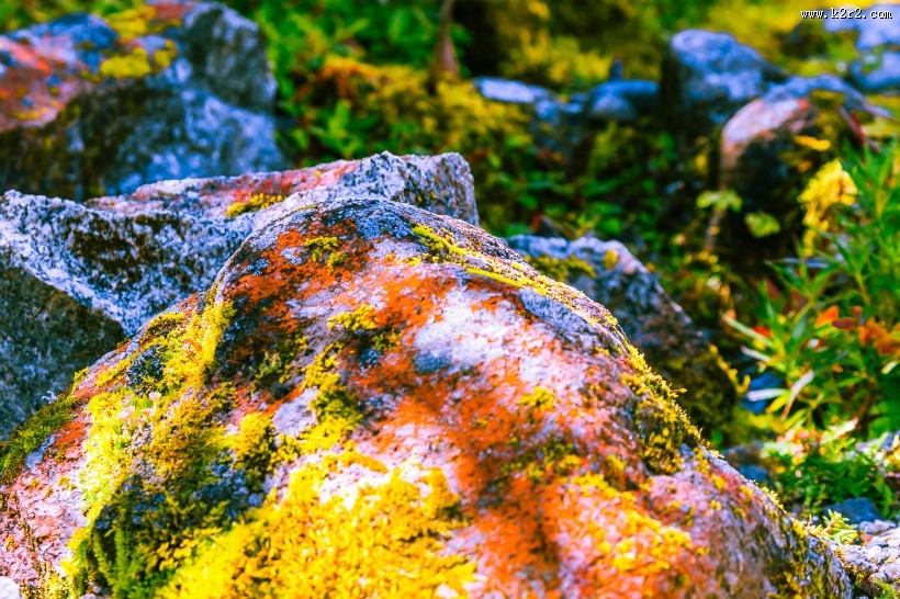 四川贡嘎山的山水风景图片