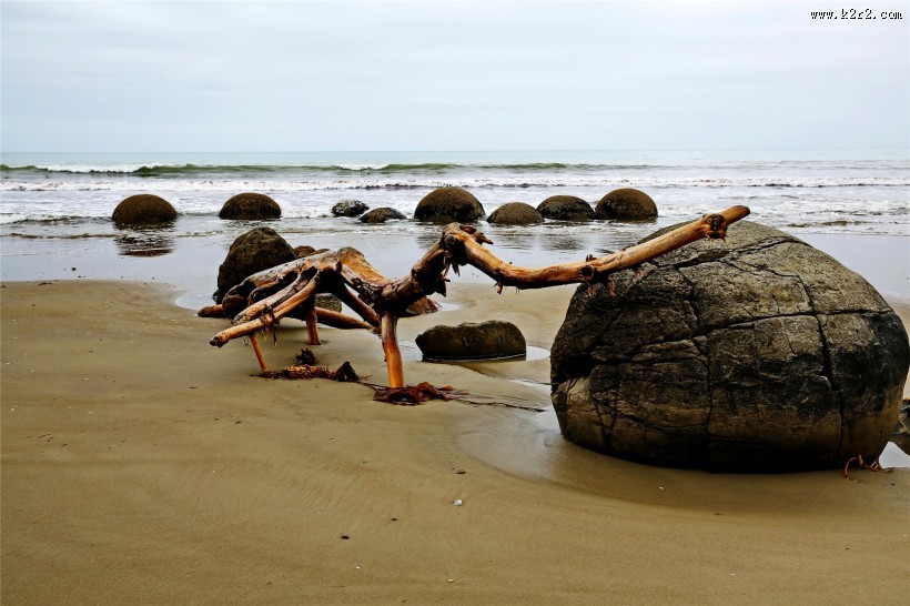 新西兰蓝岛摩拉基大圆石图片