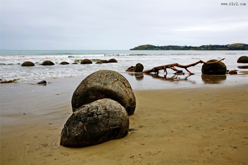 新西兰蓝岛摩拉基大圆石图片