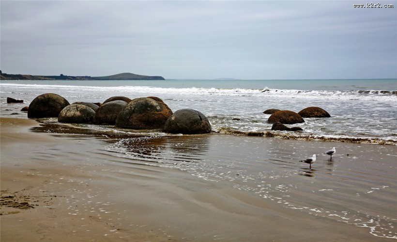 新西兰蓝岛摩拉基大圆石图片