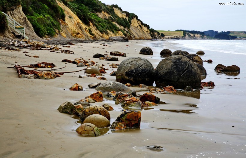 新西兰蓝岛摩拉基大圆石图片