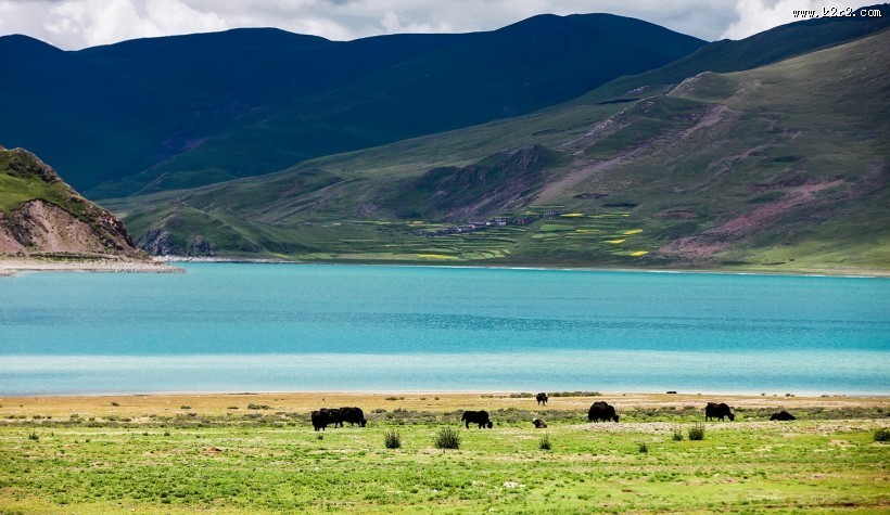 西藏羊卓雍措风景图片大全