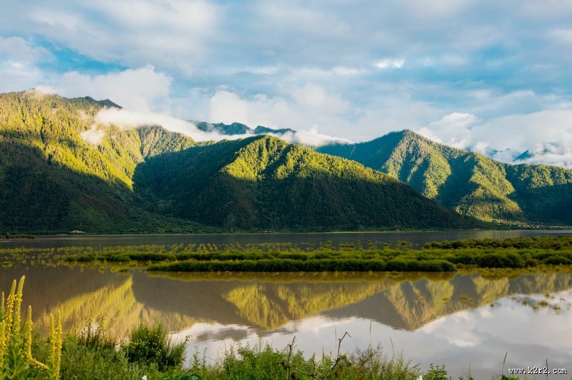 西藏尼洋河风景图片