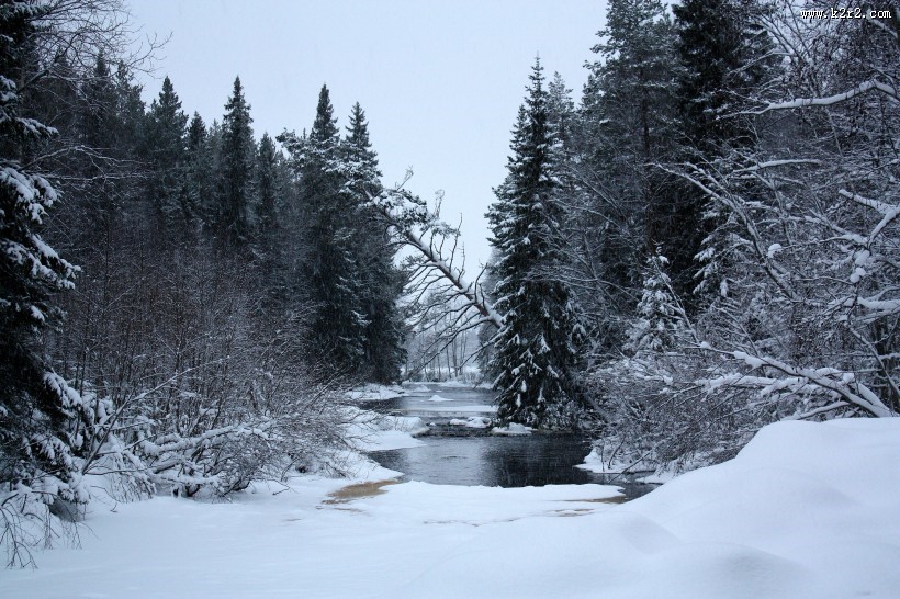 芬兰的雪图片