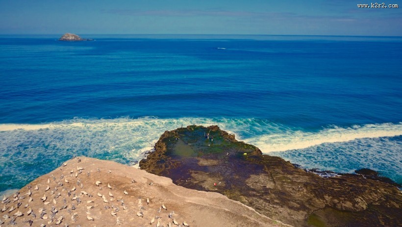 新西兰奥克兰鸟岛黑沙滩风景图片