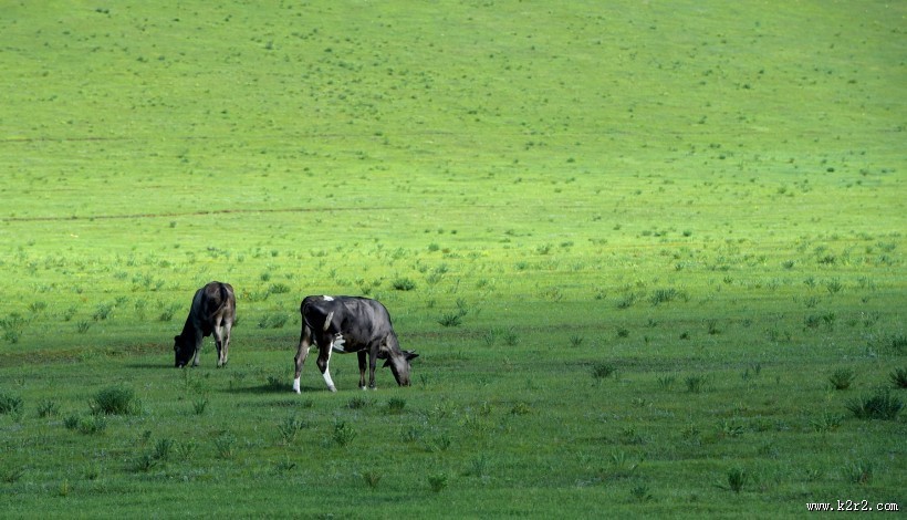 内蒙古乌兰布统草原风景图片大全