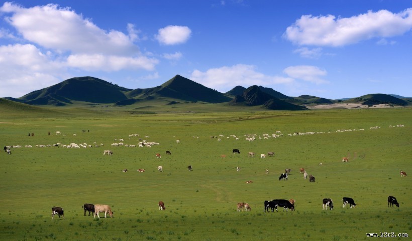内蒙古乌兰布统草原风景图片