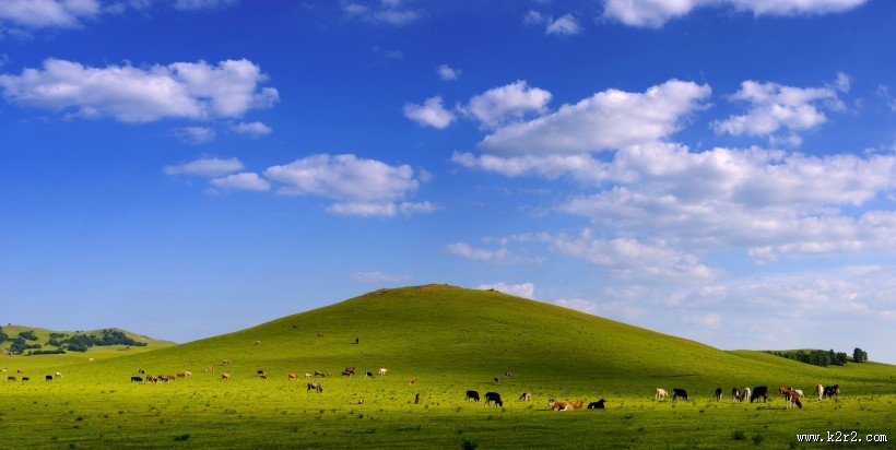 内蒙古乌兰布统草原风景图片