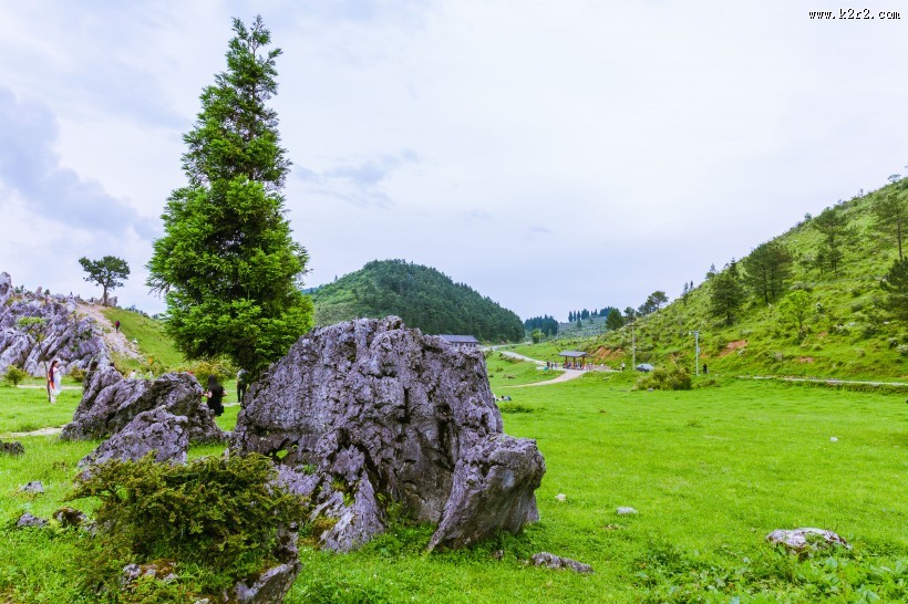 重庆千野草场风景图片