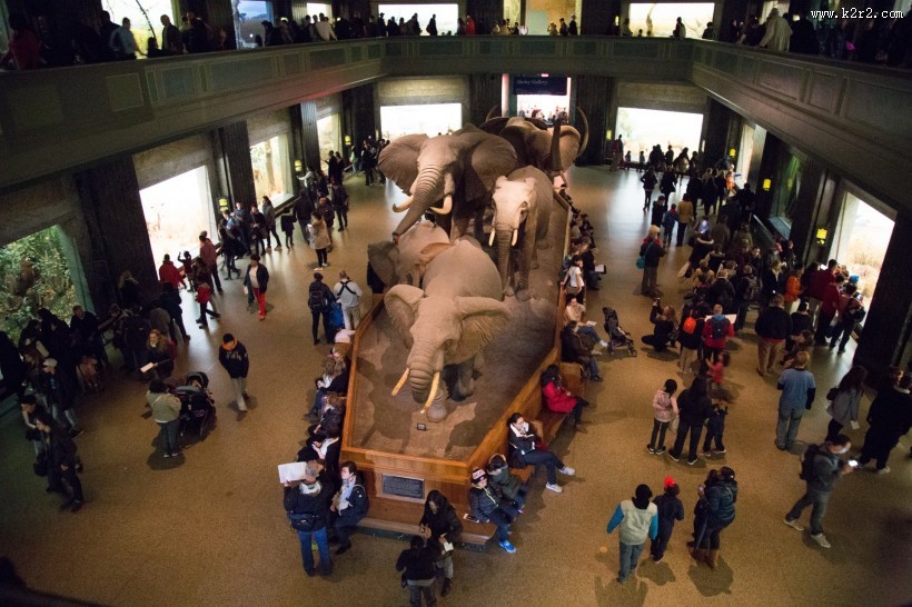 美国自然史博物馆内部图片大全