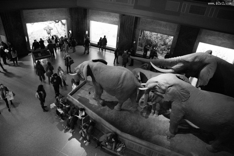 美国自然史博物馆内部图片