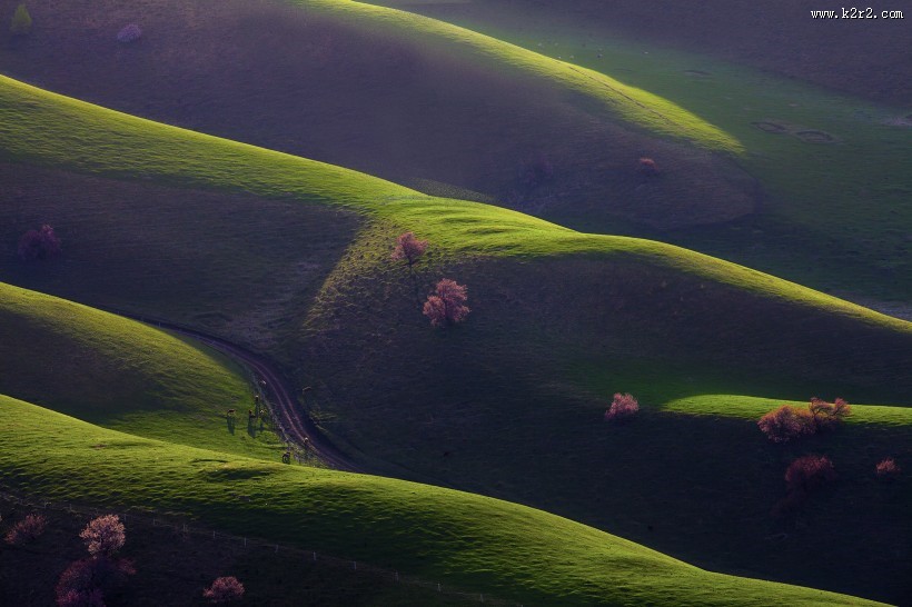 新疆新源野杏林风景图片大全