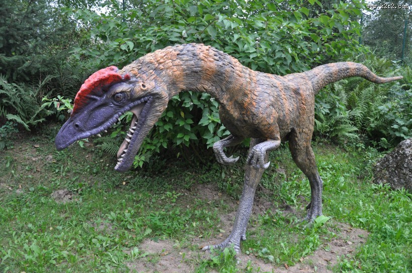 白垩纪时期的恐龙模型图片大全