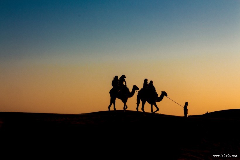 荒漠中的骆驼图片
