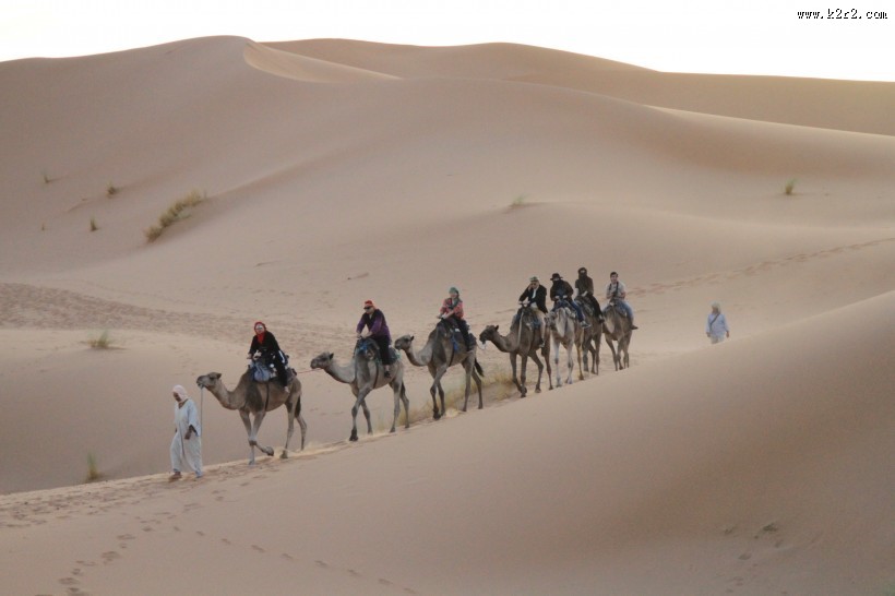 沙漠中骑行的骆驼图片