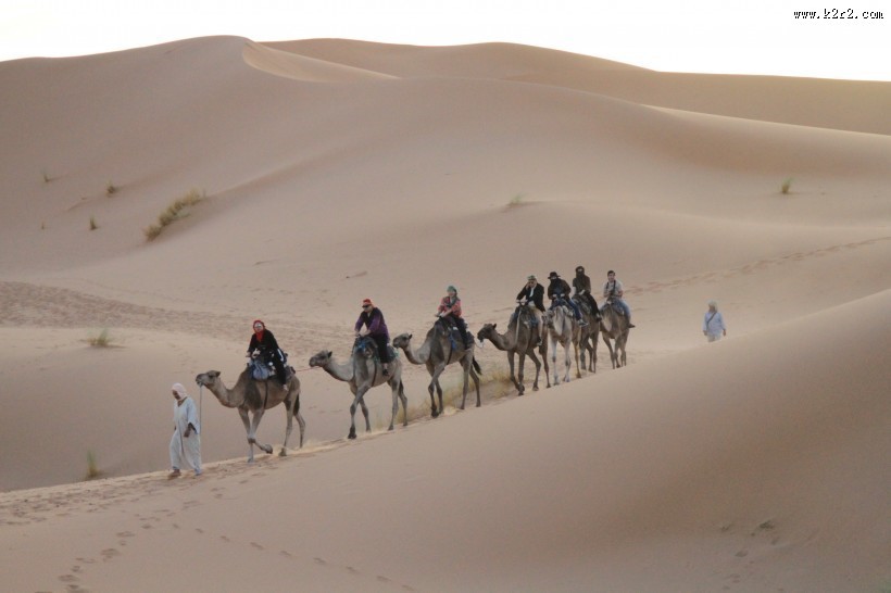 沙漠中骑行的骆驼图片