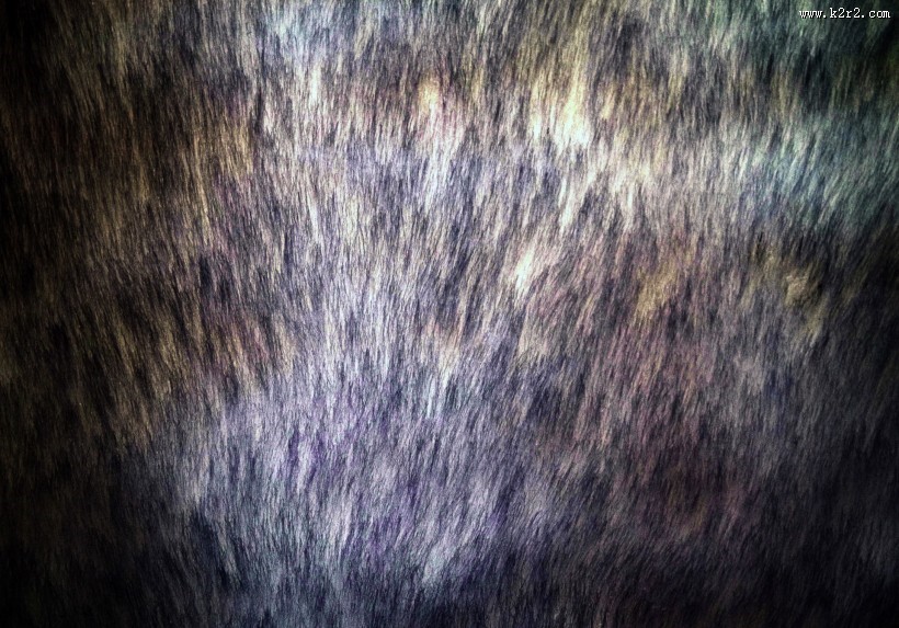 柔软的皮草图片大全