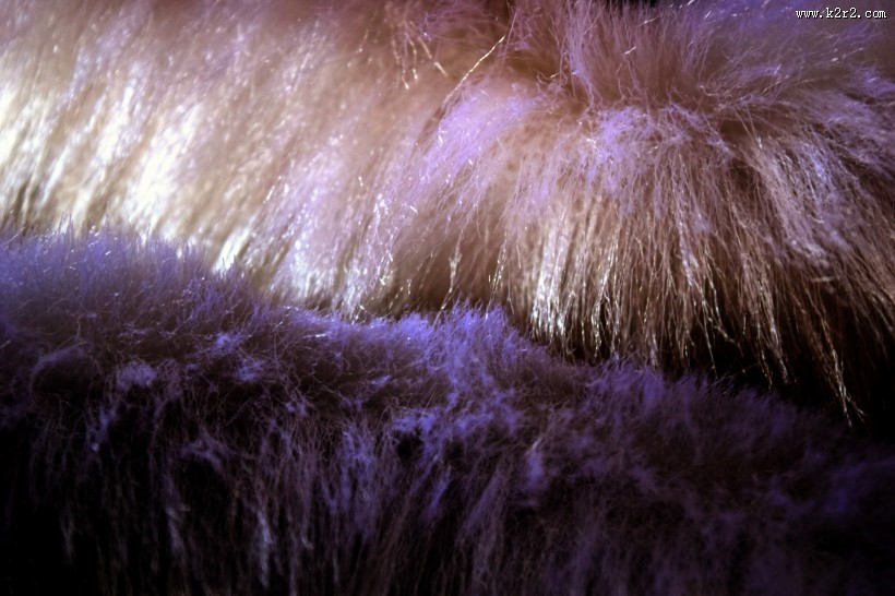 柔软的皮草图片大全