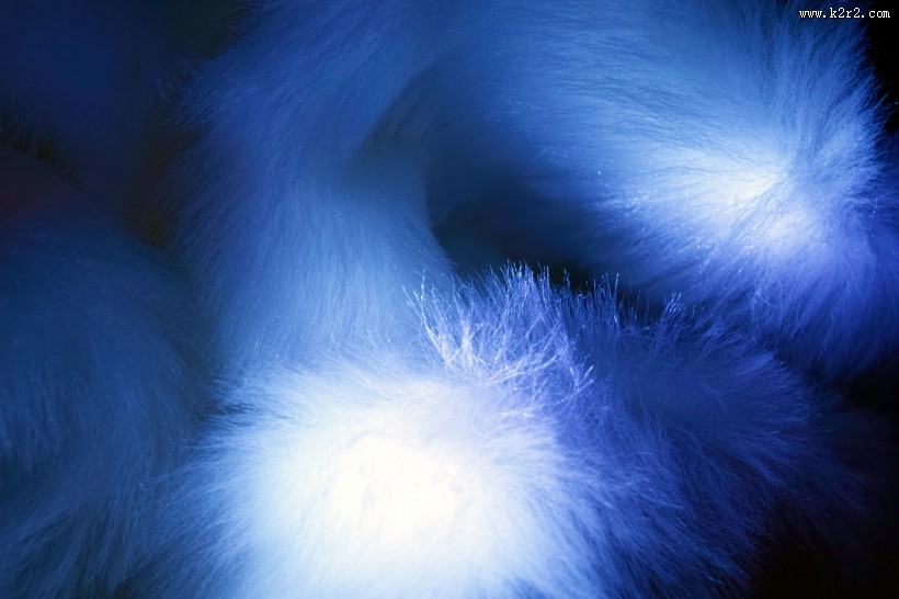 柔软的皮草图片大全