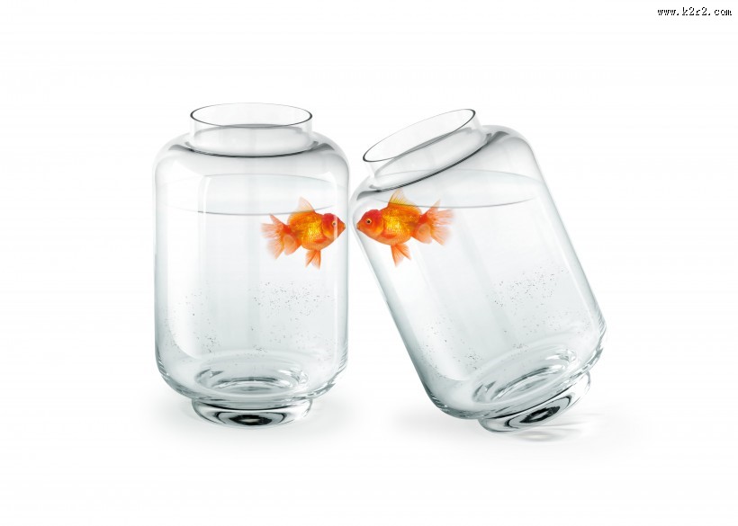 鱼缸中的金鱼图片大全