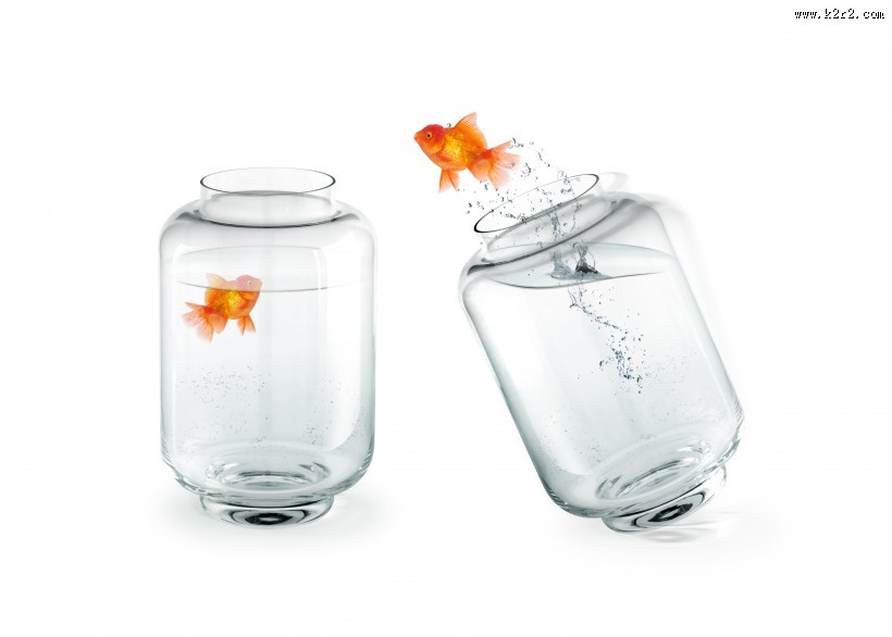 鱼缸中的金鱼图片大全