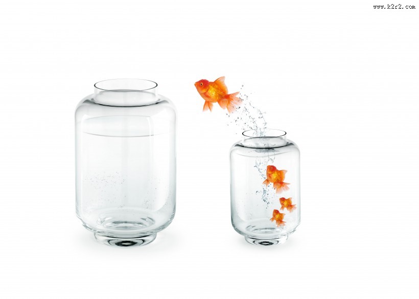 鱼缸中的金鱼图片大全