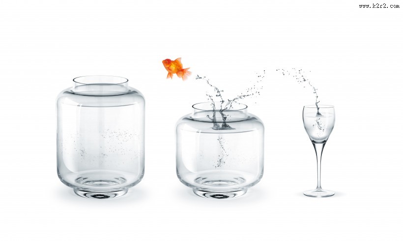 鱼缸中的金鱼图片大全