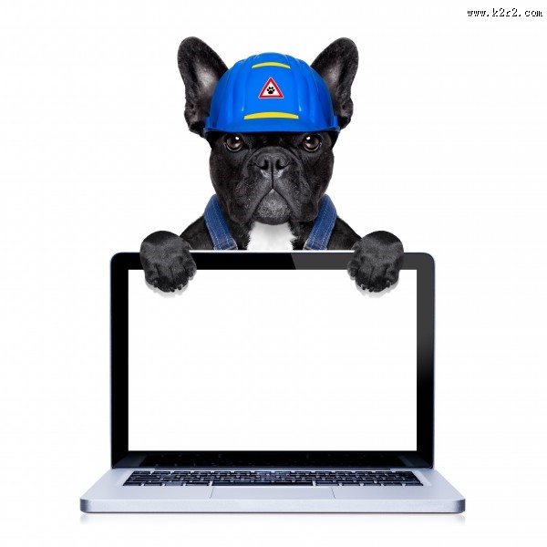 职业装宠物狗图片