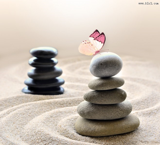 鹅卵石上蝴蝶图片