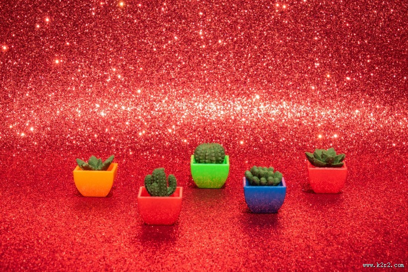 迷你仙人掌盆栽图片大全