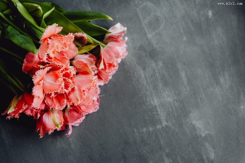 桌上的鲜花图片