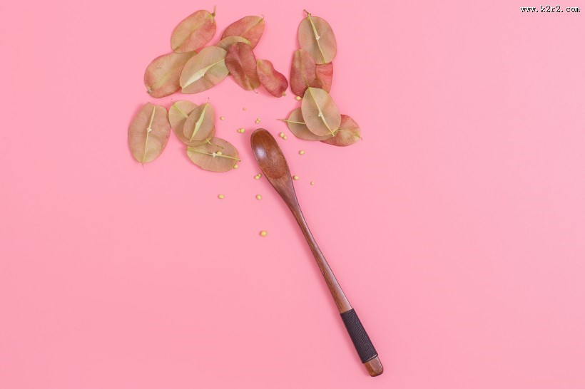 好看的叶子摆拍图片