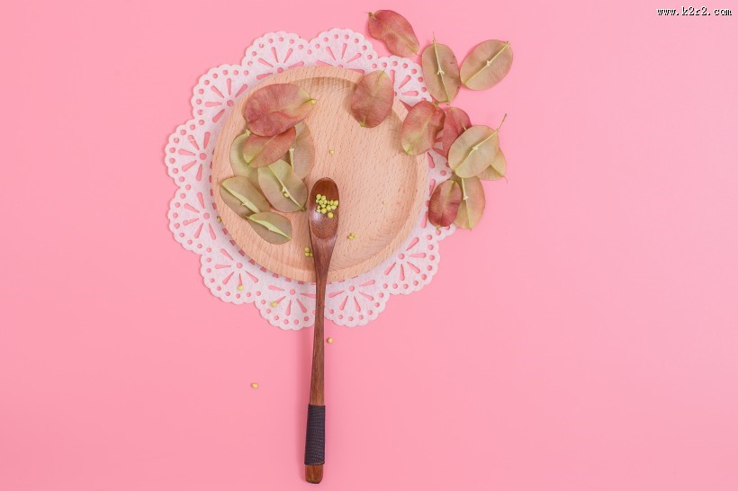 好看的叶子摆拍图片