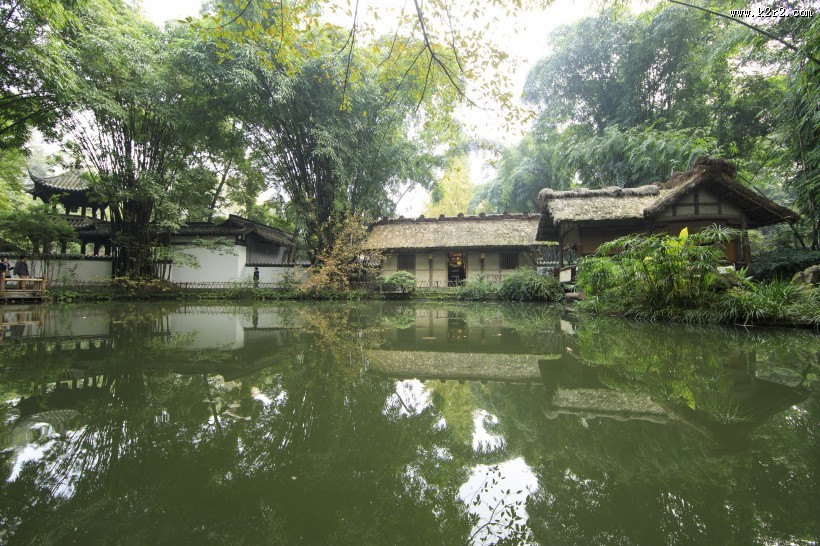 翠绿挺拔的竹子图片大全