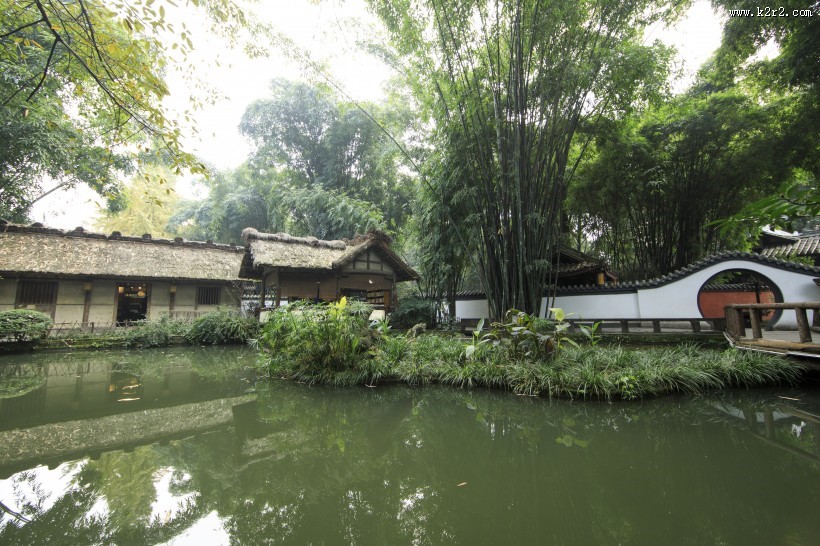 翠绿挺拔的竹子图片大全