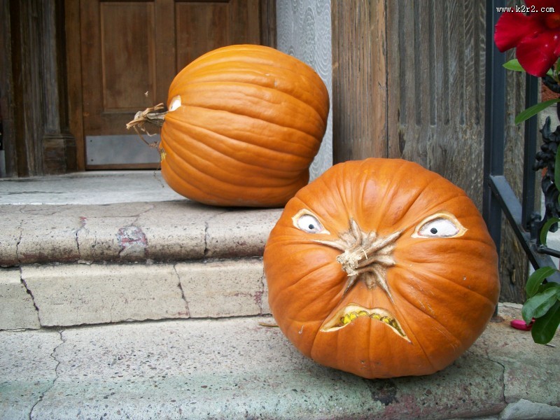 圆圆的万圣节南瓜图片