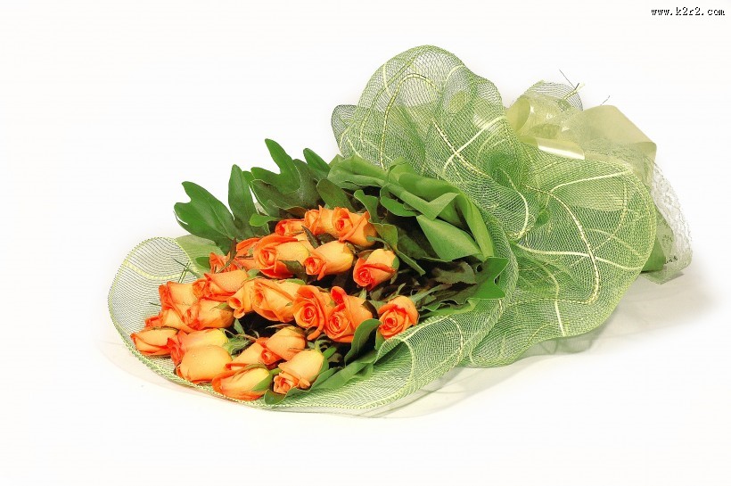 母亲节礼物康乃馨图片