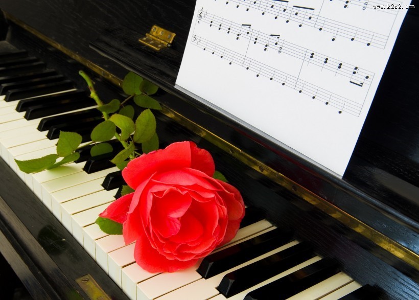 玫瑰花朵与钢琴图片