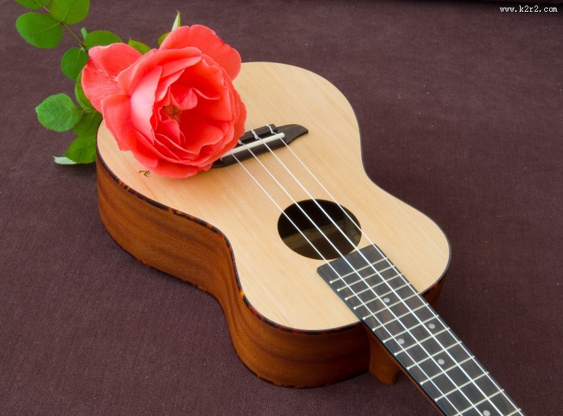 玫瑰花朵与钢琴图片