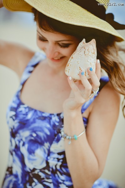 姿态万千的海螺图片