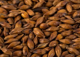 消渴除热的大麦茶图片